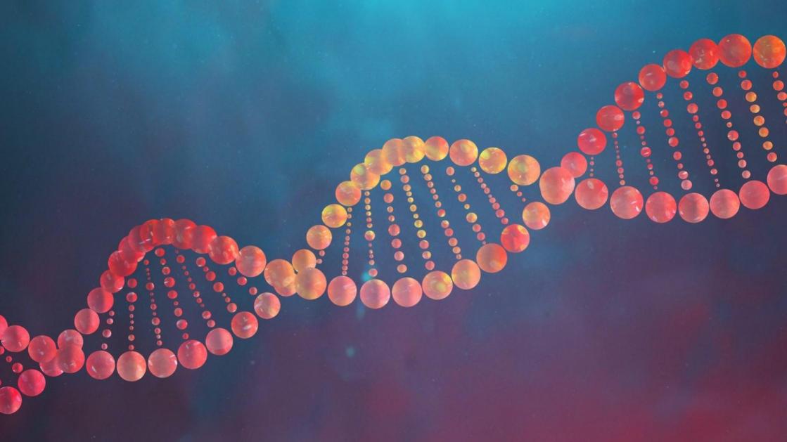 Sistema ultrassônico de cisalhamento de DNA