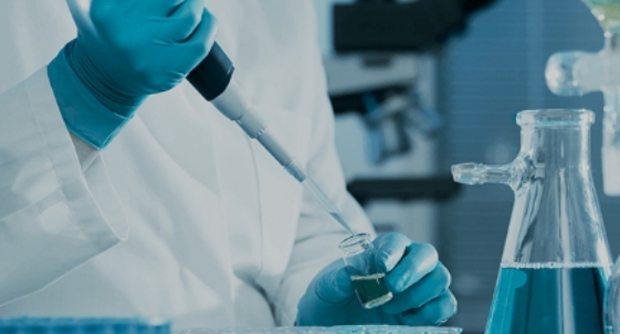 Gel de eletroforese de agarose pré-corado