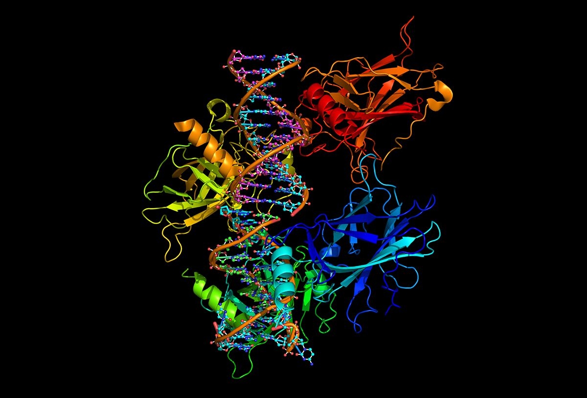 Equipamento de imagem de análise de proteínas