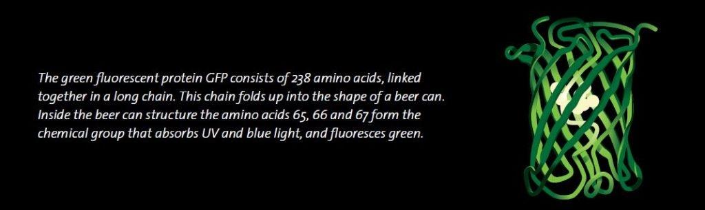 Fluorômetro de bancada