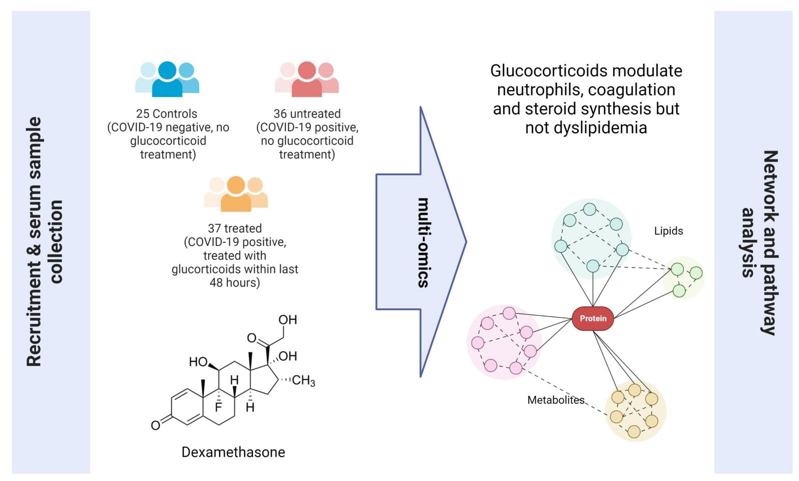 Ultrassônico de alto desempenho para laboratório