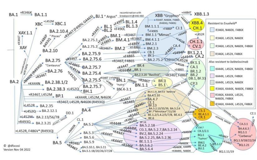 Sistema de Imagem em Gel de DNA