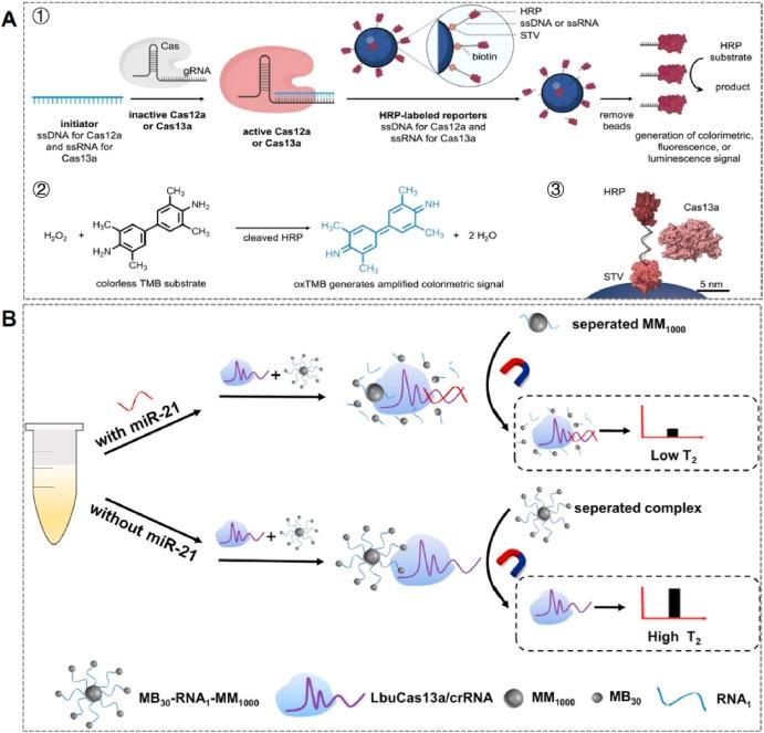 Sistema de Separação Magnética