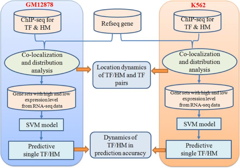 Serviços de Sequenciamento de Chips