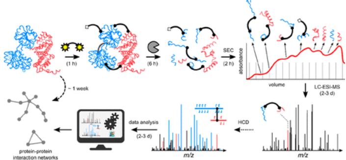 Espectrometria de massa de reticulação