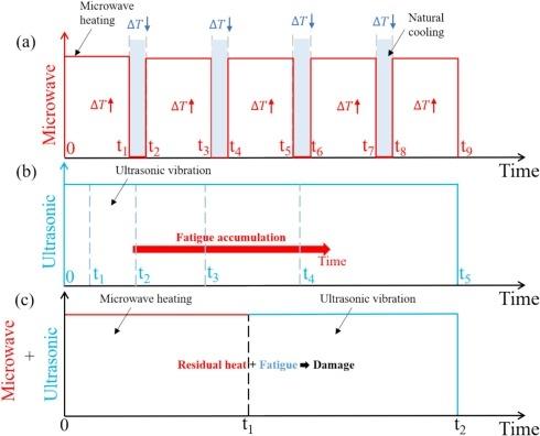 Disruptor de Célula Ultrassônica Focada