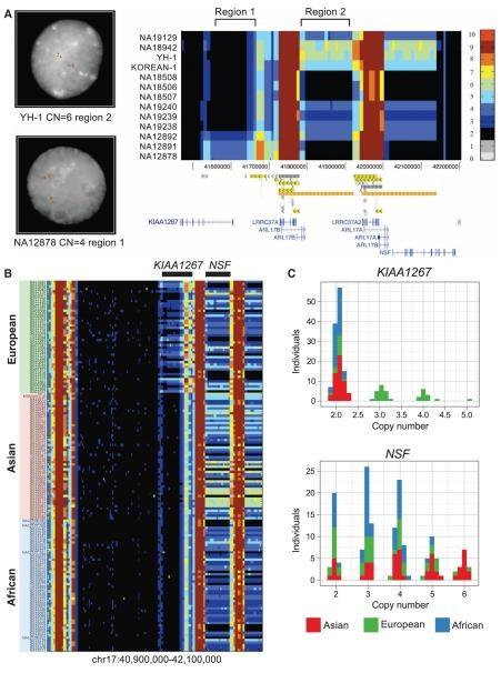 Ultrasonicador para extração de DNA