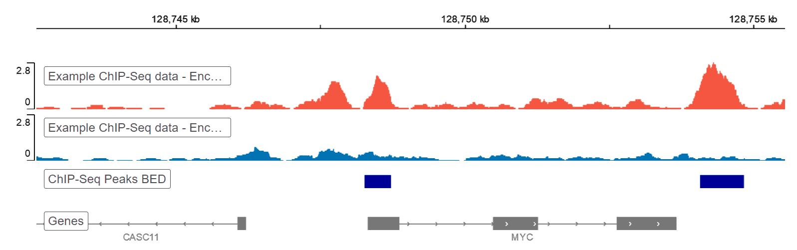 Pipeline de Análise de Dados ChIP-Seq