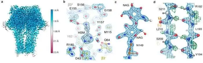 Cryo-Em de Alta Resolução