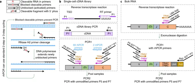 Sonicador de Extração de RNA