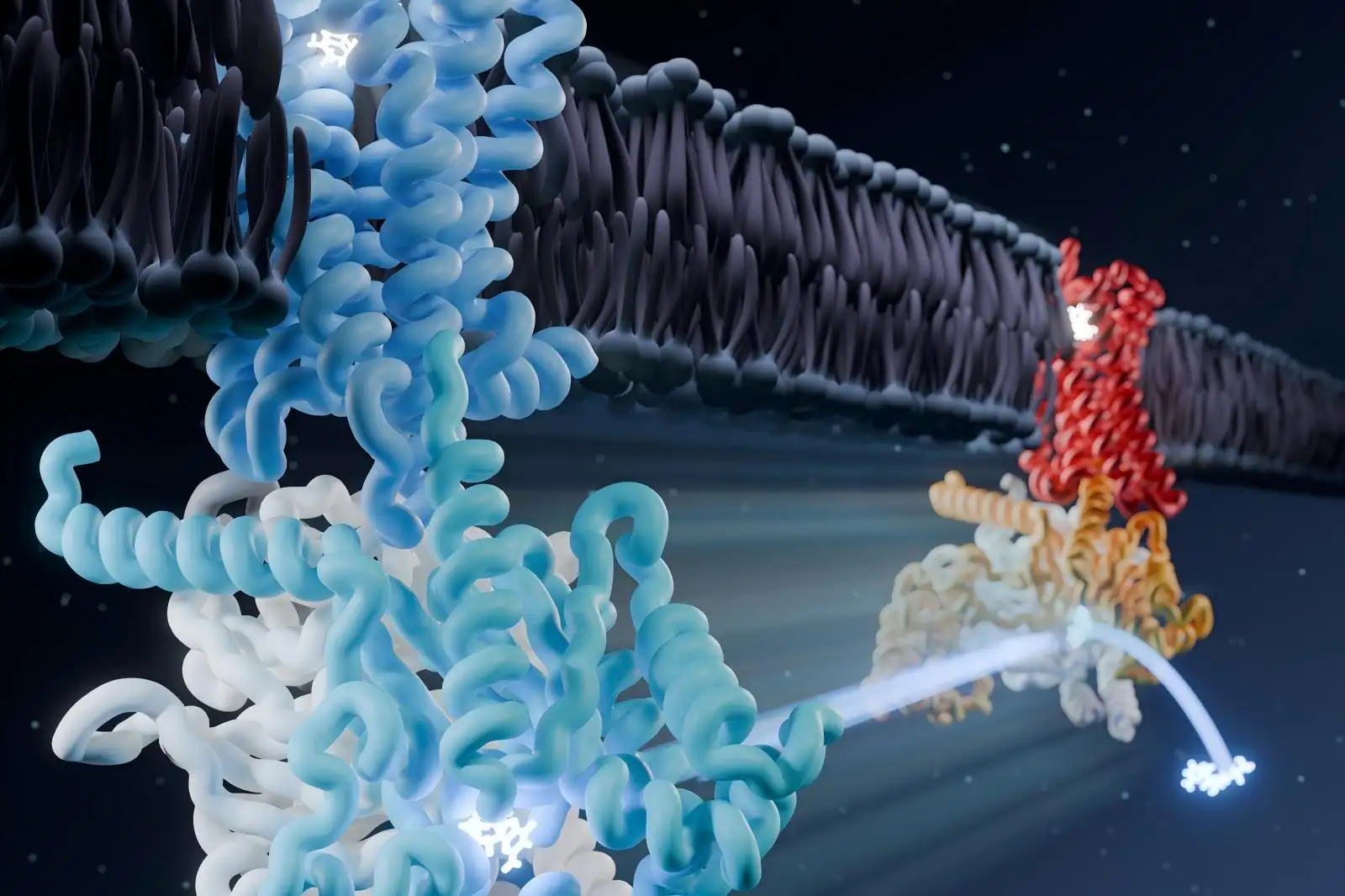 Dispositivo de Energia Sonora Ultrassônica de Laboratório Gel pré-fabricado super rápido para eletroforese em gel Dispositivo de separação de células magnéticas Fragmentação de DNA Eletroforese de DNA Separação magnética para biologia molecular Plataforma de imagem em gel de RNA Dispositivo de separação de células magnéticas GPCR Expressão e purificação de proteínas de membrana GPCR Escavengador de Ácidos Nucleicos