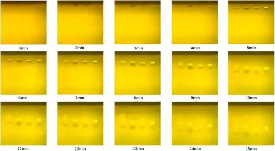 Gel pré-fabricado super rápido para eletroforese em gel